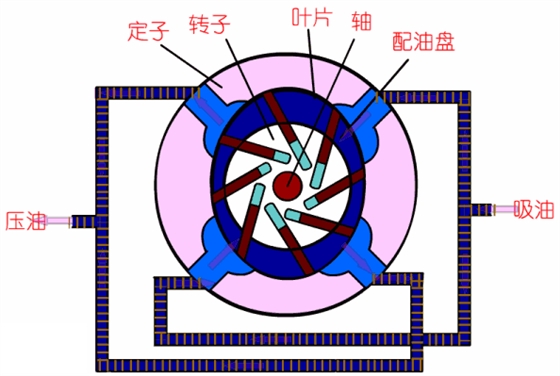 葉片泵工作原理動圖